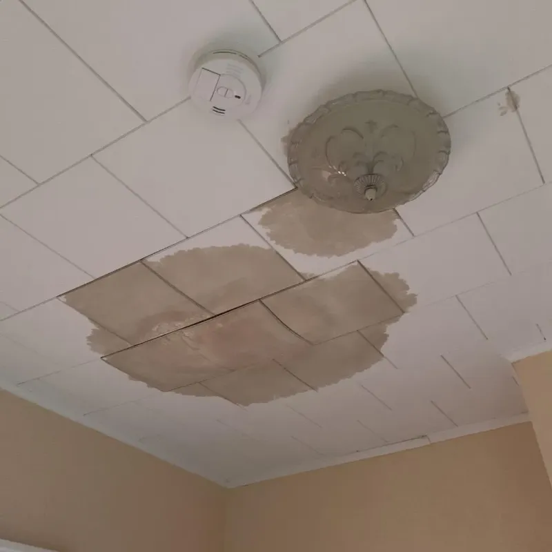 Ceiling Water Damage Repair in North Terre Haute, IN