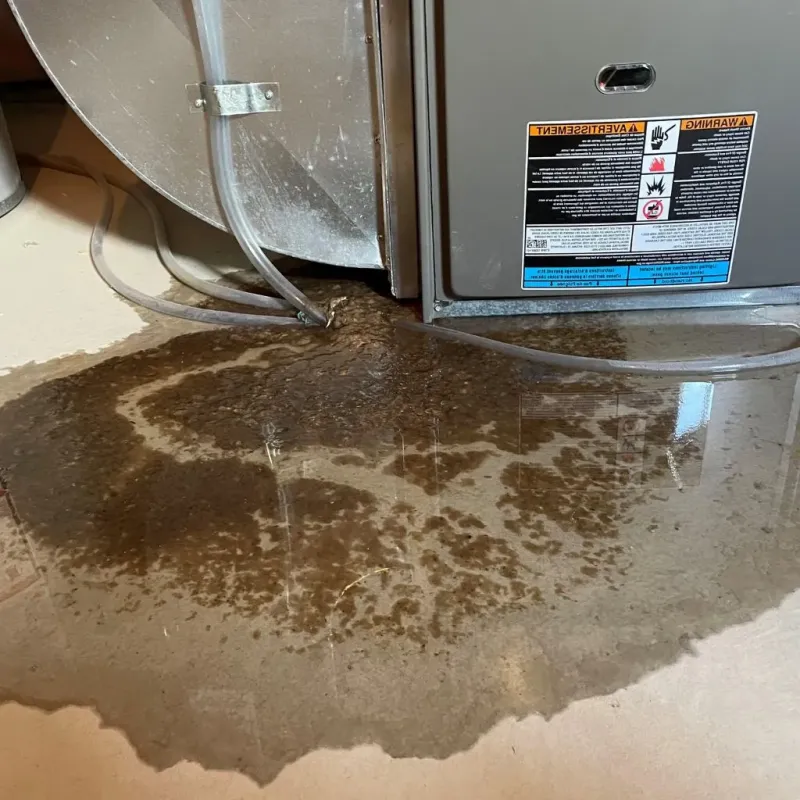 Pipe Burst and Leak Restoration in North Terre Haute, IN