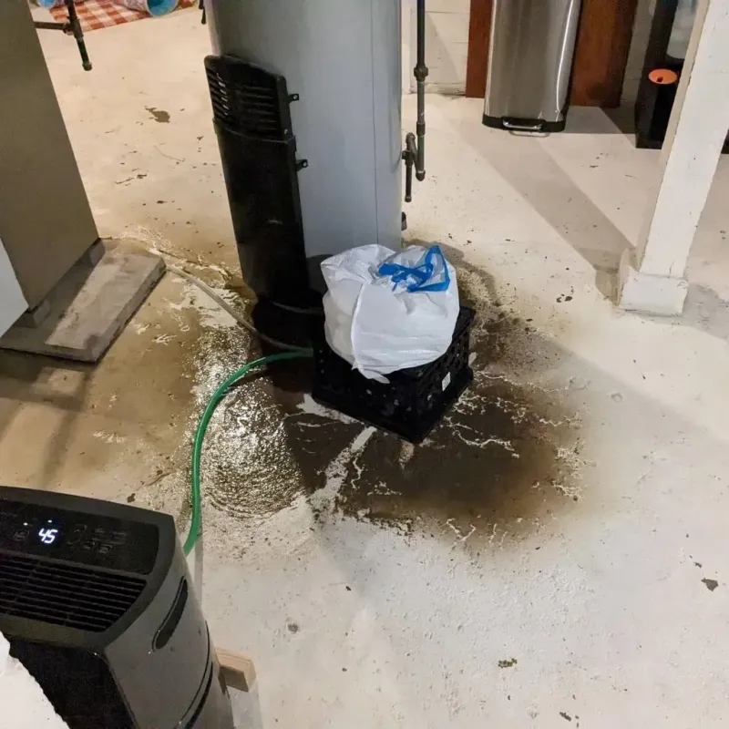 Sewage Backup Cleanup Service in North Terre Haute, IN